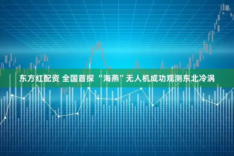东方红配资 全国首探 “海燕”无人机成功观测东北冷涡